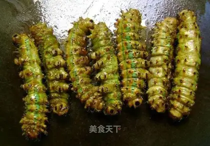 fried maple worm