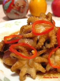 baby cuttlefish