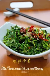Salad coriander