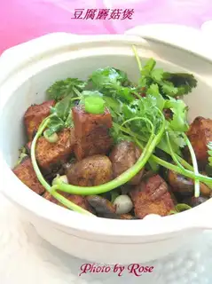 tofu and mushroom casserole