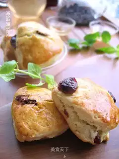 Cranberry Scone