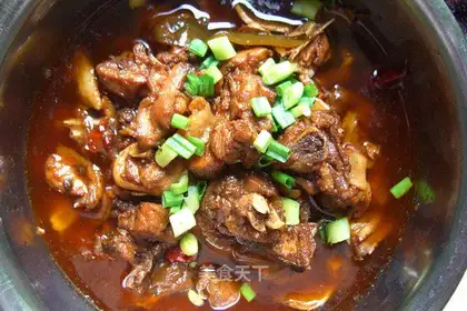 spring chicken