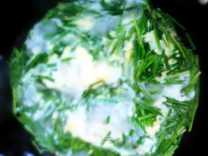 Leek and egg soup