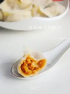 Dumplings stuffed with cabbage and pork
