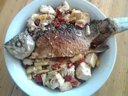 Carp tofu