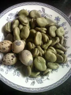 spiced broad bean