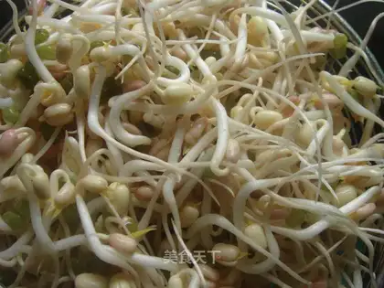 mung bean sprouts