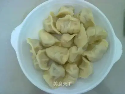 Dumplings stuffed with leek and pork