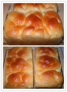 Four-strand pigtails, old-fashioned toast