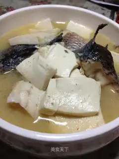Black fish and tofu soup