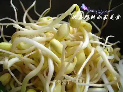 Home-made soybean sprouts