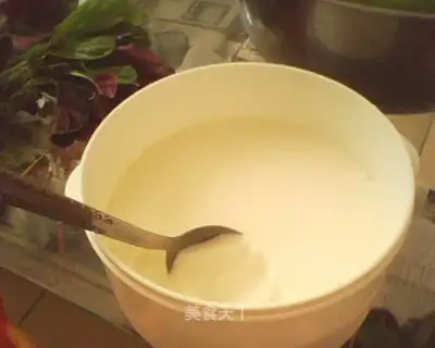 Homemade old yogurt