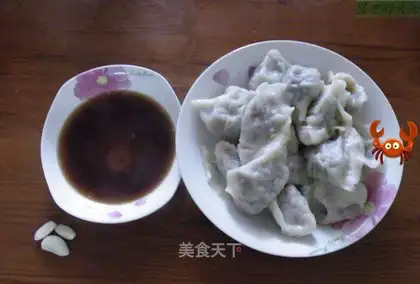 Pork and leek dumplings