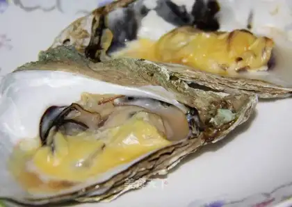 Grilled oysters with cheese