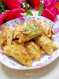Pork stickers with cabbage and fresh meat