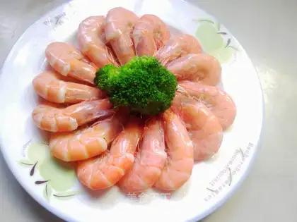 brine shrimp