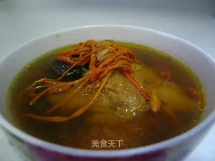 Mushrooms, Cordyceps sinensis and chicken soup
