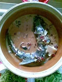fresh fish