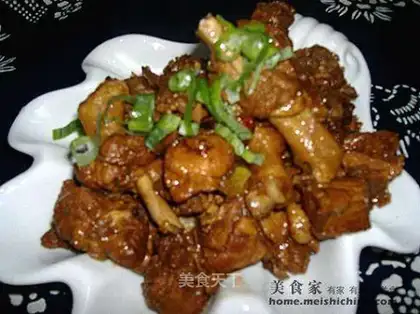 braised duck pieces