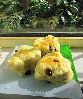 Cranberry Scone