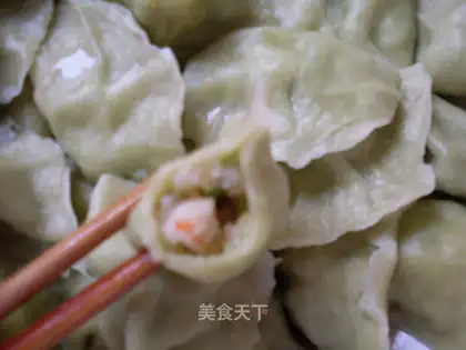 Shrimp dumplings