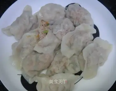 carrot and pork dumplings