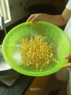 Spontaneous yellow bean sprouts