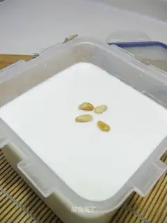 Yogurt