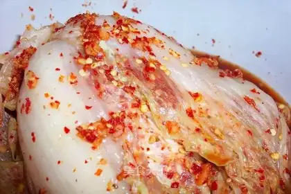 Korean cabbage