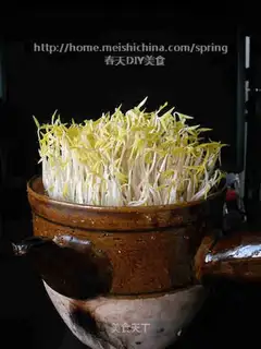 A casserole with green bean buds