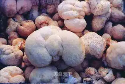 Hair soaking and 4 methods of Hericium erinaceus