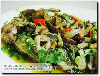 braised fish