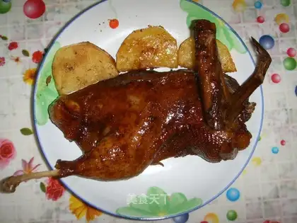 Duck