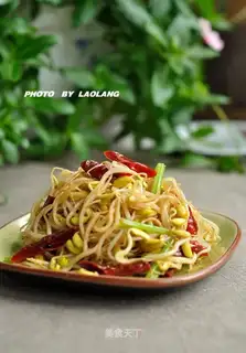 Dry black bean sprouts