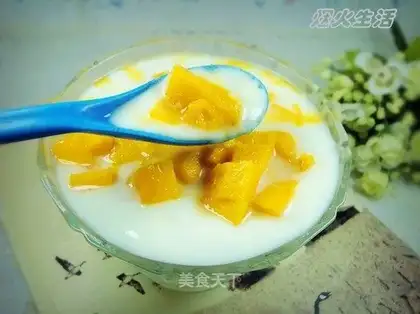 Homemade mango yogurt
