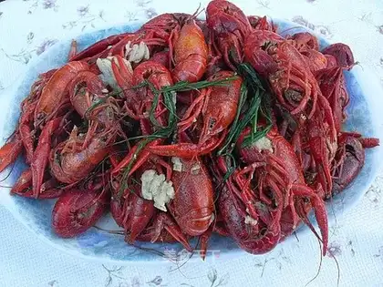 Thirteen crayfish