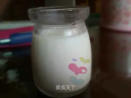 Homemade yogurt