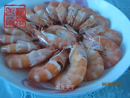Shrimp