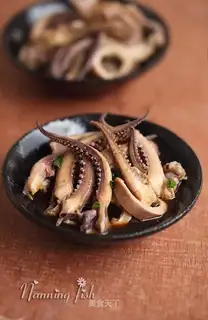 Squid
