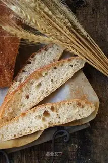 Biga yeast, Shabada