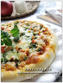 Onion meat pizza