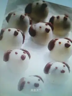 Puppies, soy sauce