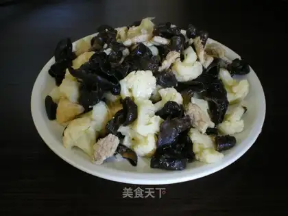 Fungus cauliflower