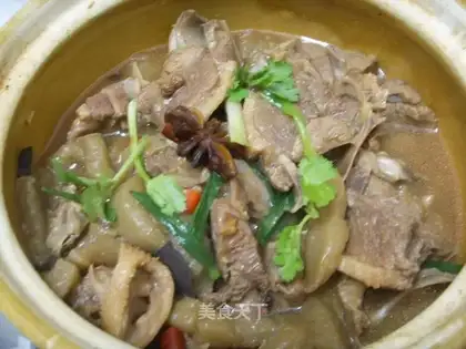 Spicy Konjac Roast Duck