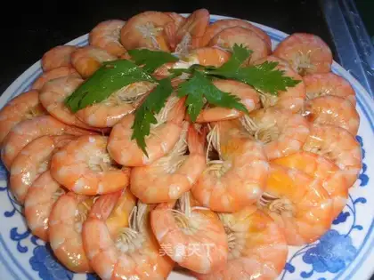 brine shrimp
