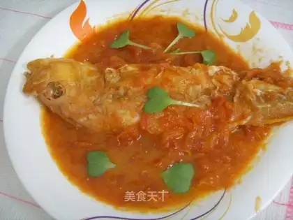 Red shirt fish in tomato sauce