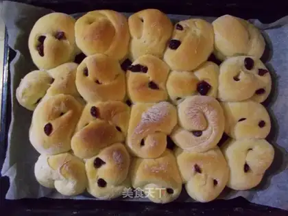 Cranberry rolls
