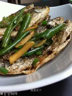 Scorch fish dry