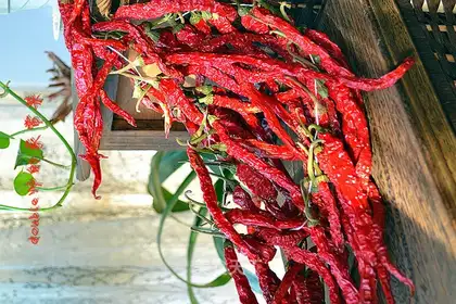 Homemade peppers