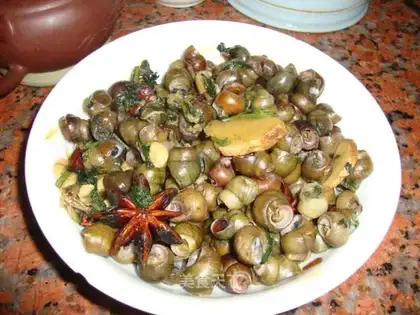Snails